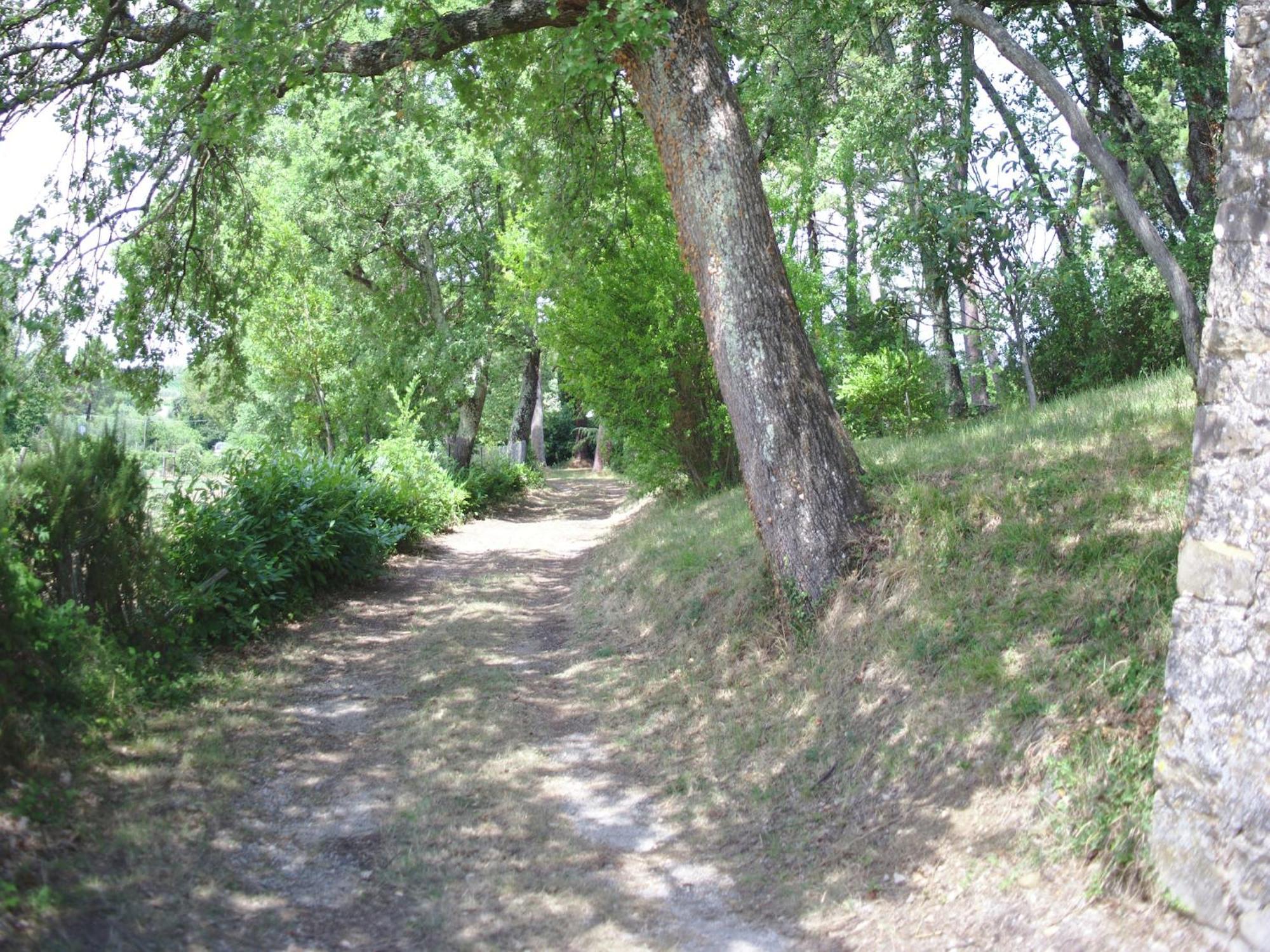 Lovely Holiday Home In Montefiridolfi With Hill View 외부 사진