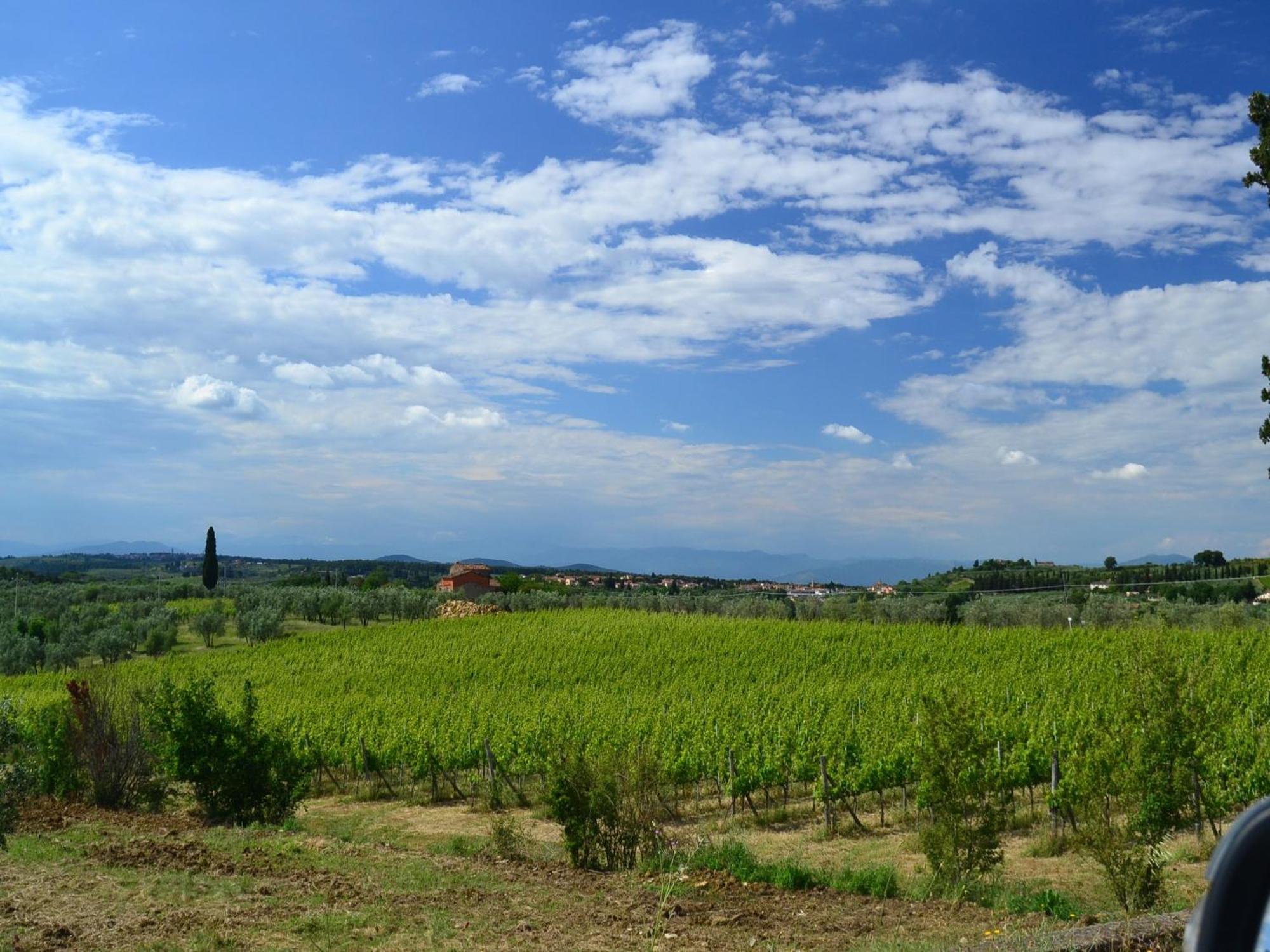 Lovely Holiday Home In Montefiridolfi With Hill View 외부 사진