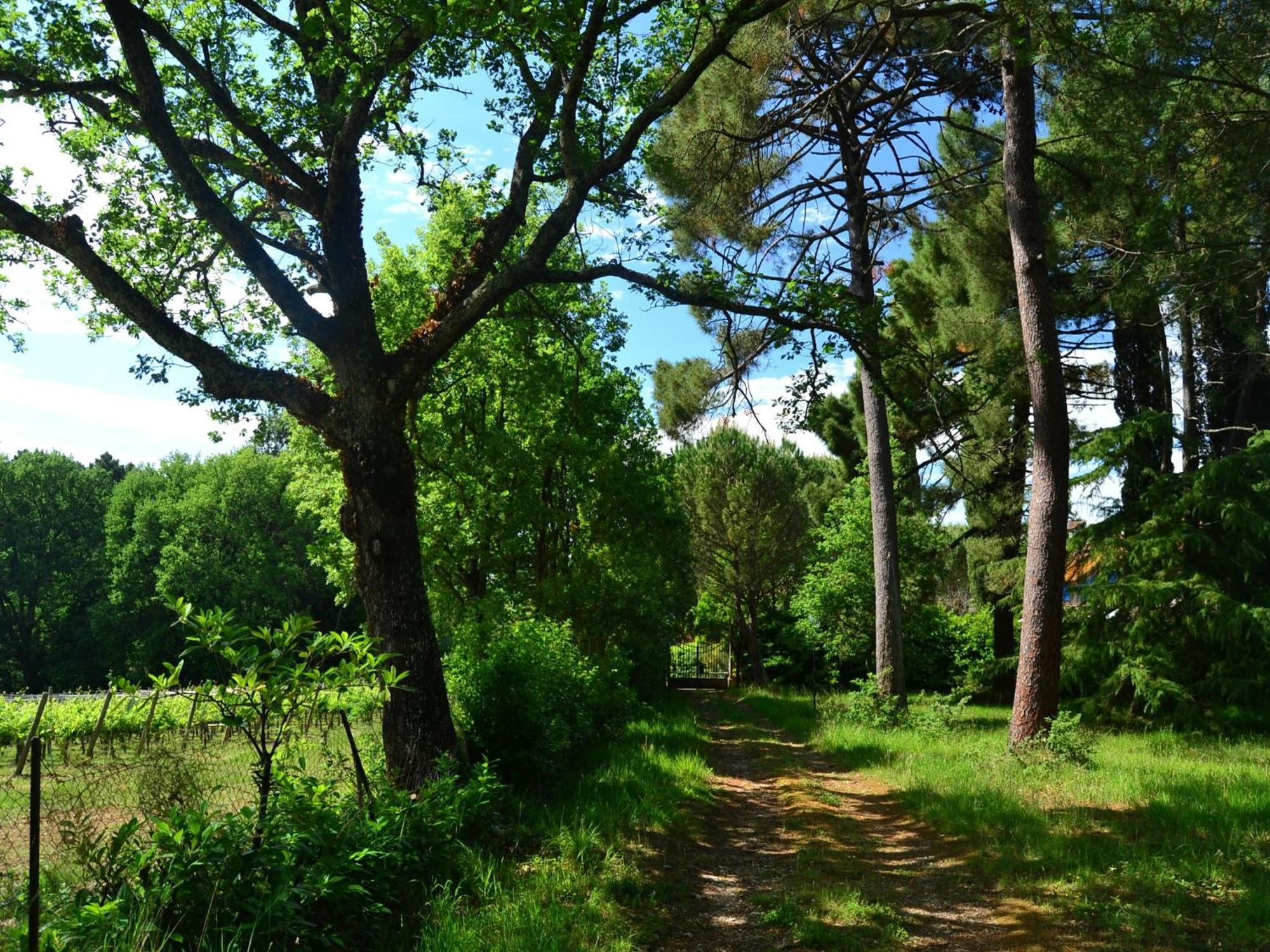 Lovely Holiday Home In Montefiridolfi With Hill View 외부 사진