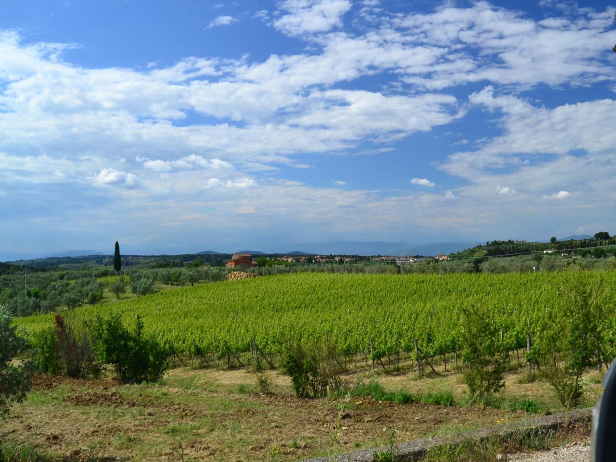 Lovely Holiday Home In Montefiridolfi With Hill View 외부 사진