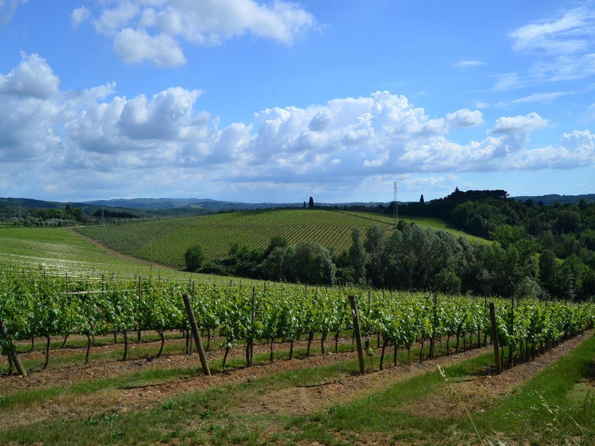 Lovely Holiday Home In Montefiridolfi With Hill View 외부 사진