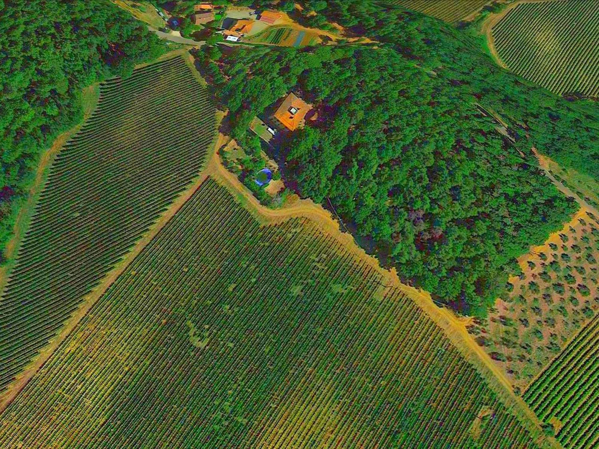 Lovely Holiday Home In Montefiridolfi With Hill View 외부 사진